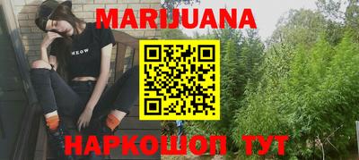 стафф Гатчина