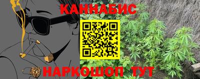 ешки Гай