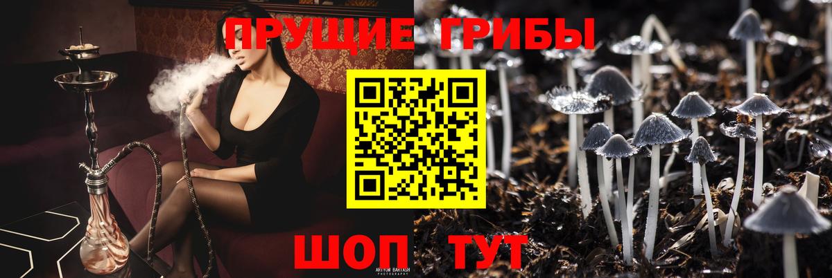 Галлюциногенные грибы Psilocybine cubensis  Галлюциногенные грибы Psilocybine cubensis  Екатеринбург  Вход с VPN 
